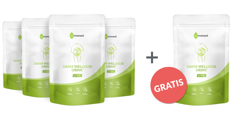 Darm wellness drink vorteilspaket 4 1 default