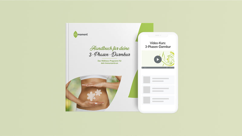 Darmkur video kurs handbuch