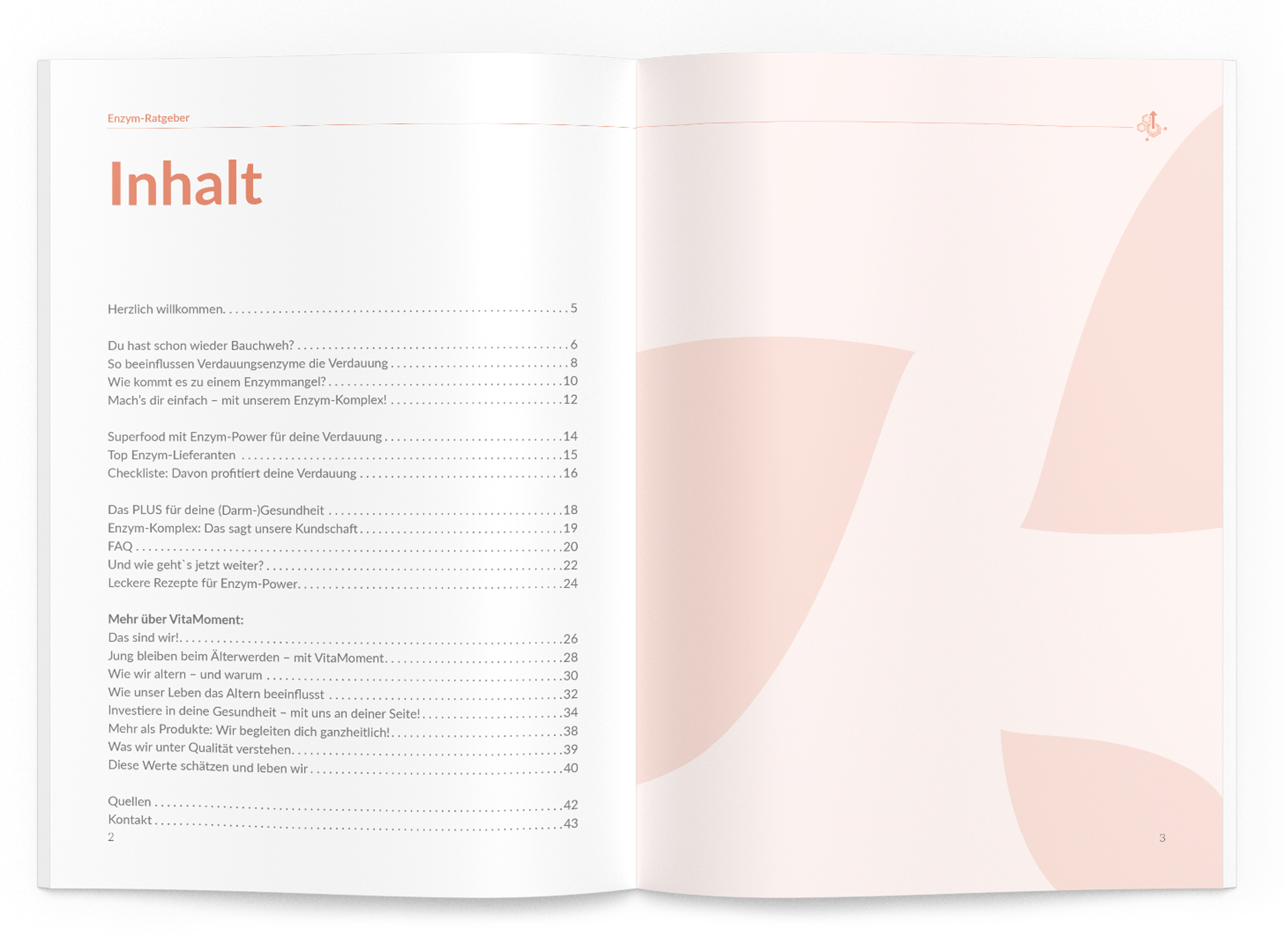 Enzym-Ratgeber - VitaMoment Produkt