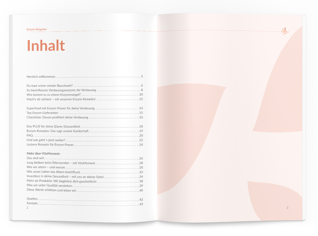 Enzym-Ratgeber - VitaMoment Produkt