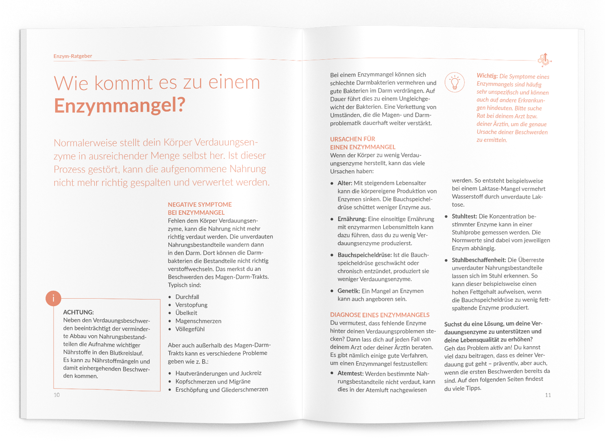 Enzym-Ratgeber - VitaMoment Produkt