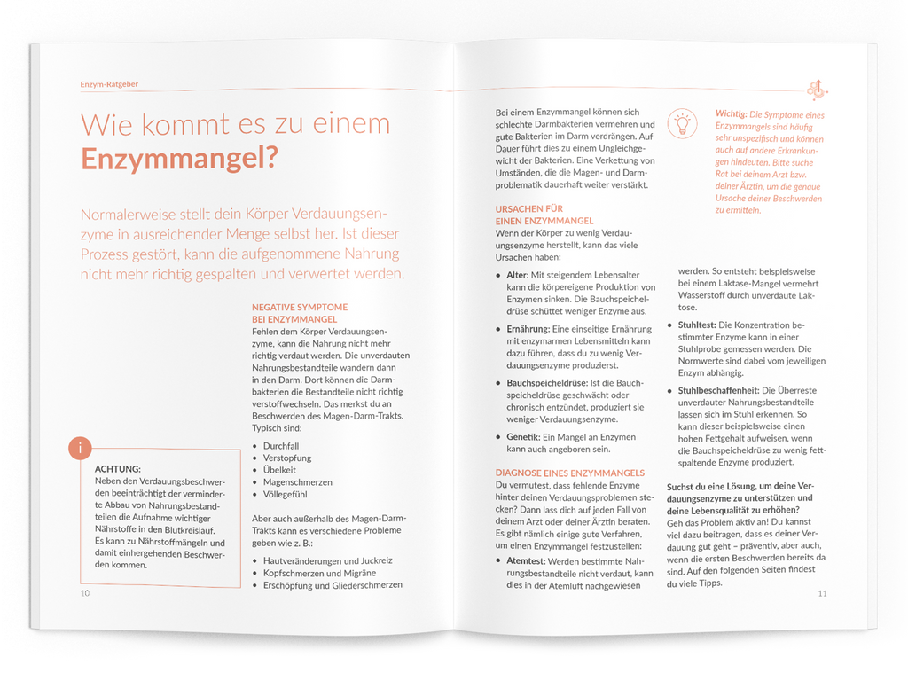 Enzym-Ratgeber - VitaMoment Produkt