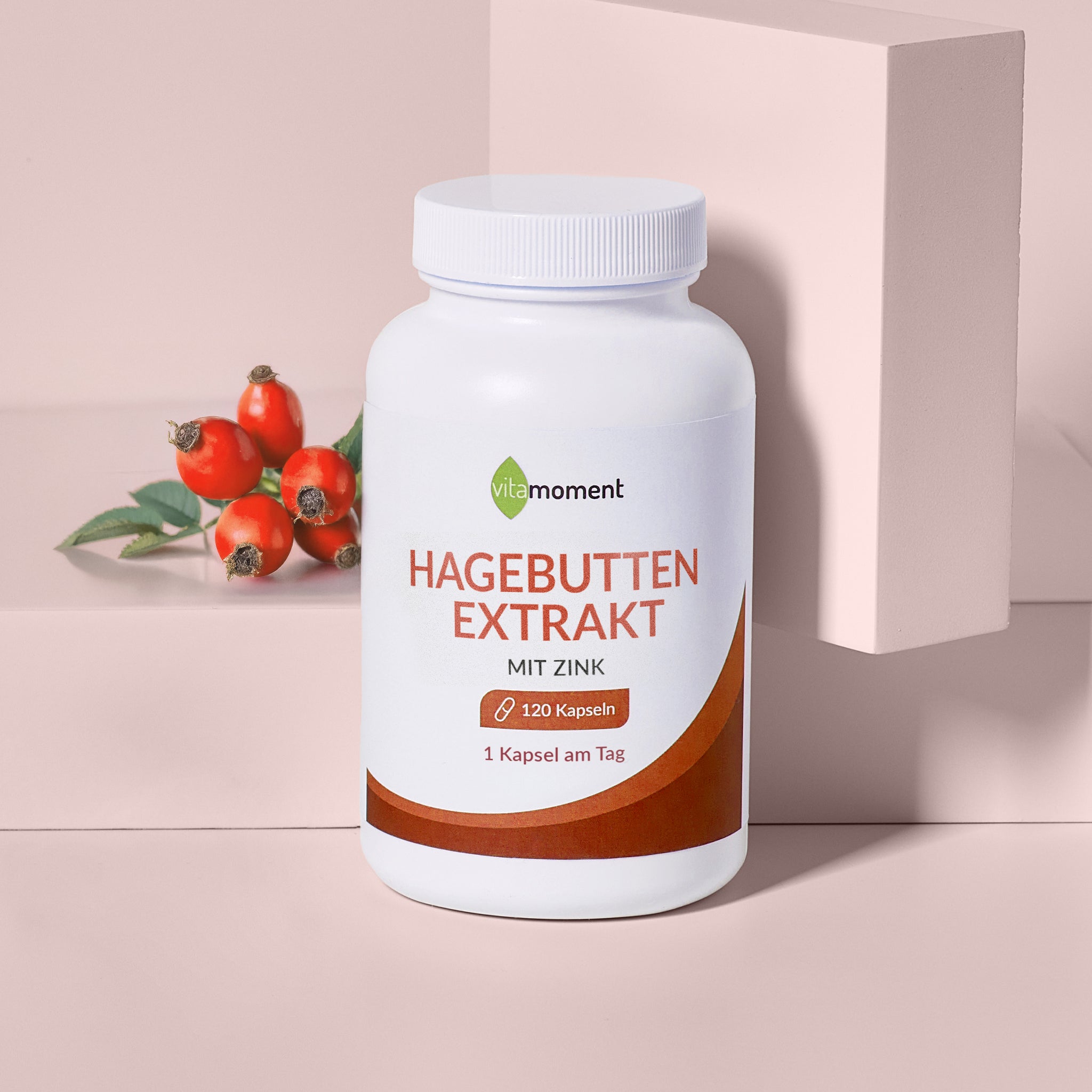 Hagebutten Extrakt - VitaMoment Produkt