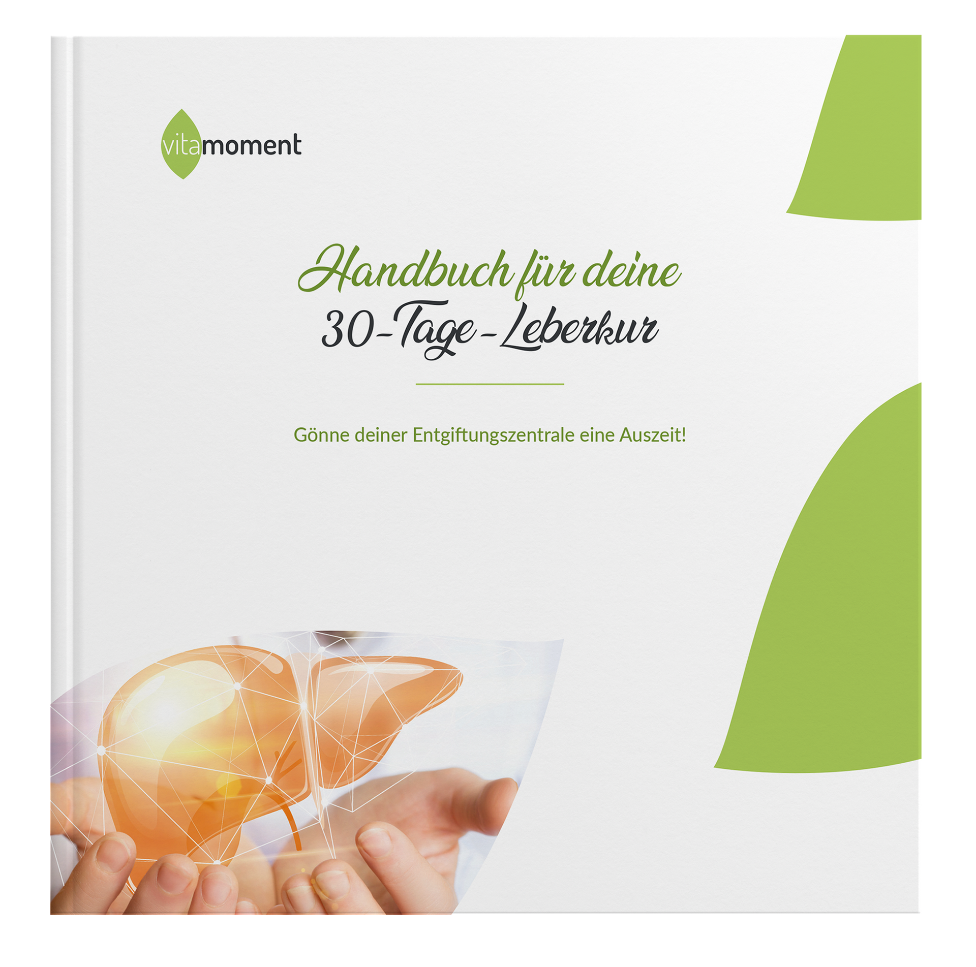 Handbuch Leberkur