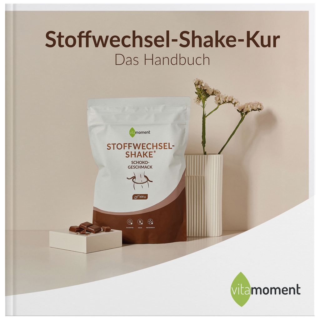 Ratgeber zur Stoffwechsel-Shake-Kur
