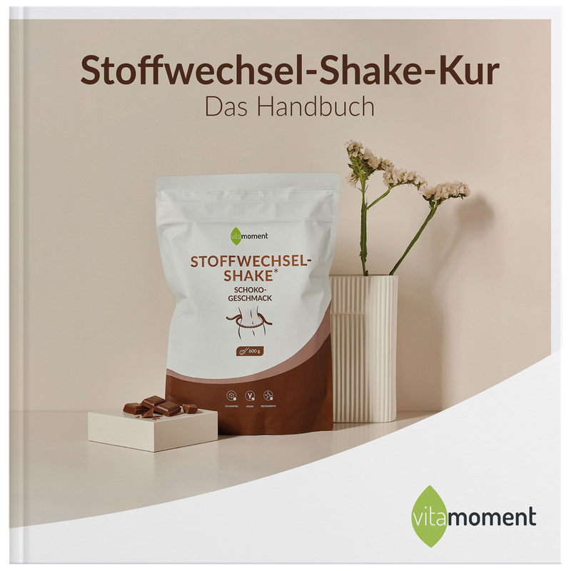 Handbuch Stoffwechsel-Shake-Kur