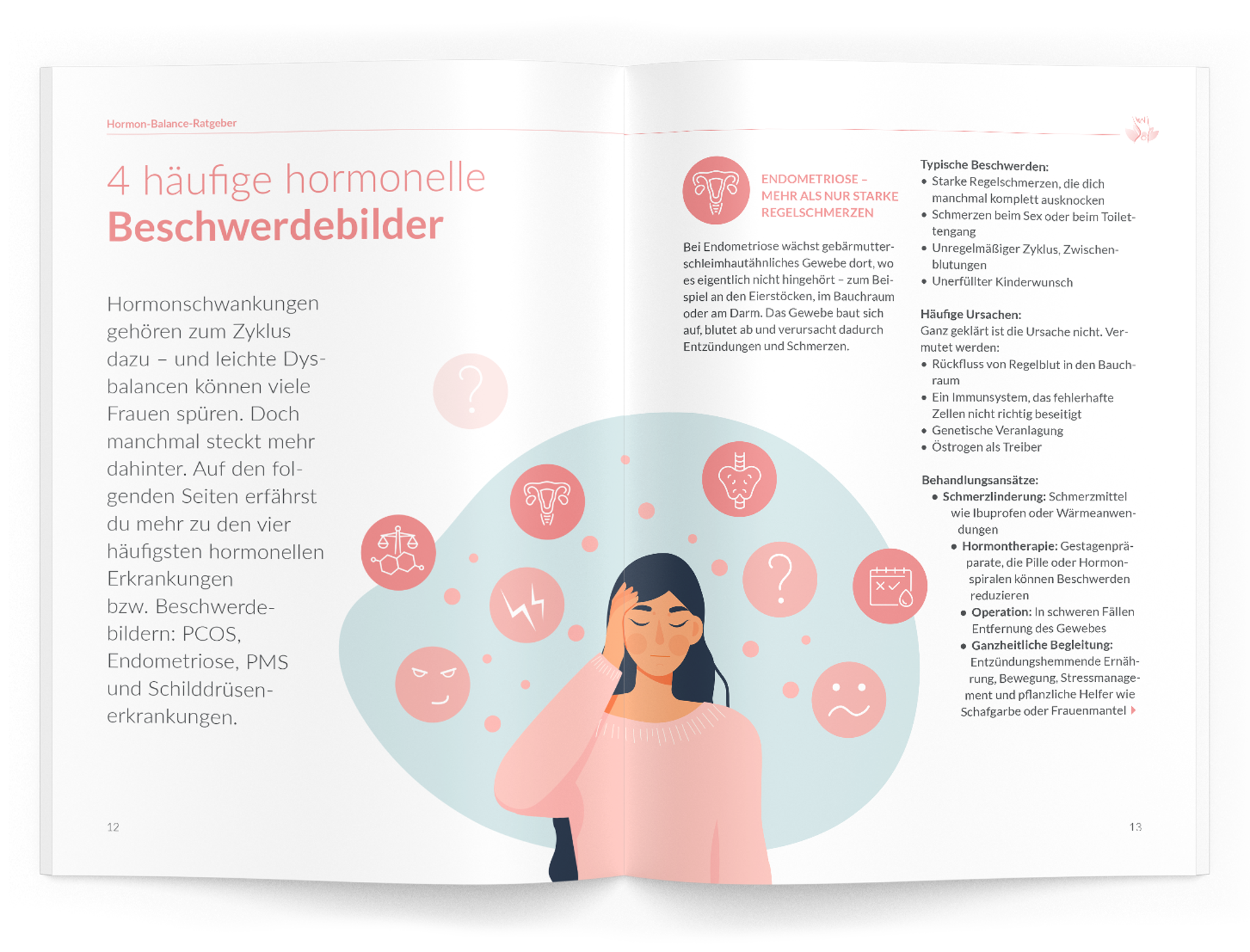 Hormon-Balance-Ratgeber - VitaMoment Produkt