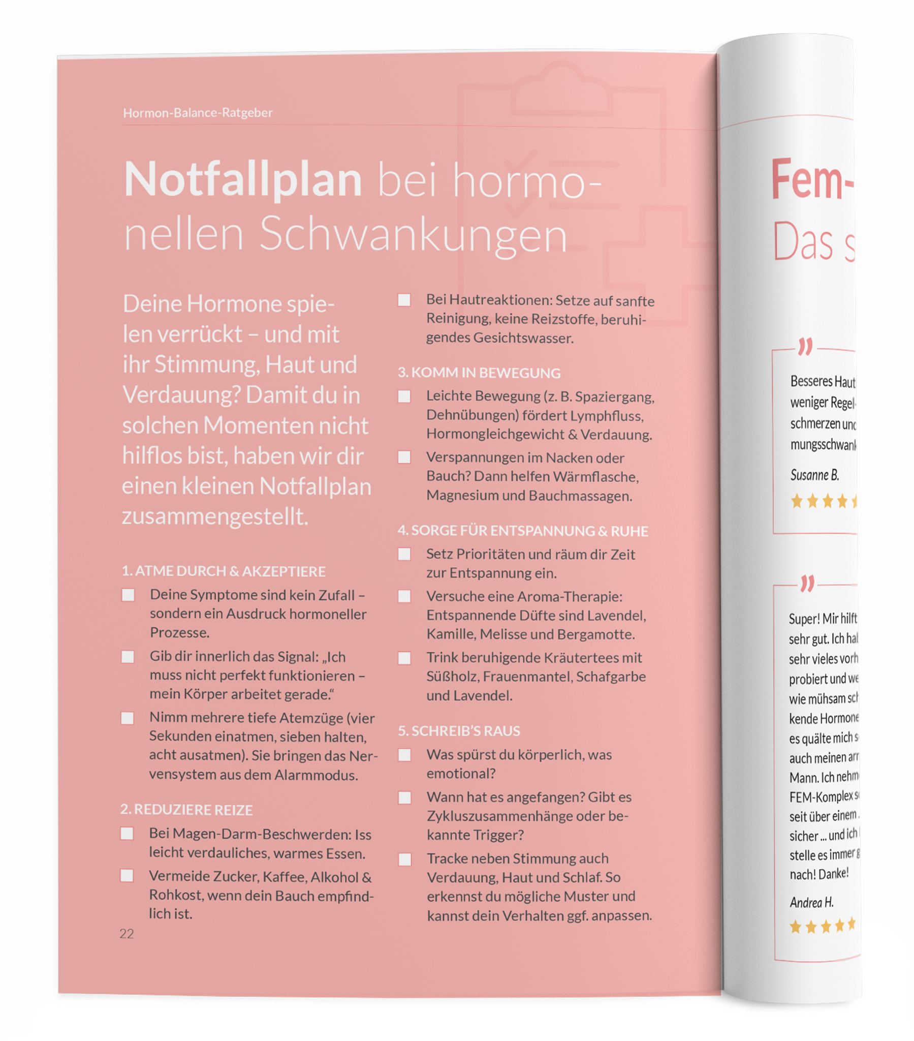 Hormon-Balance-Ratgeber - VitaMoment Produkt