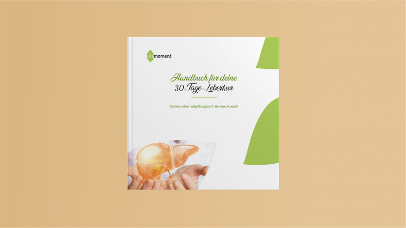 Leberkur handbuch
