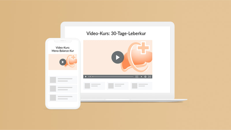 Leberkur video kurs