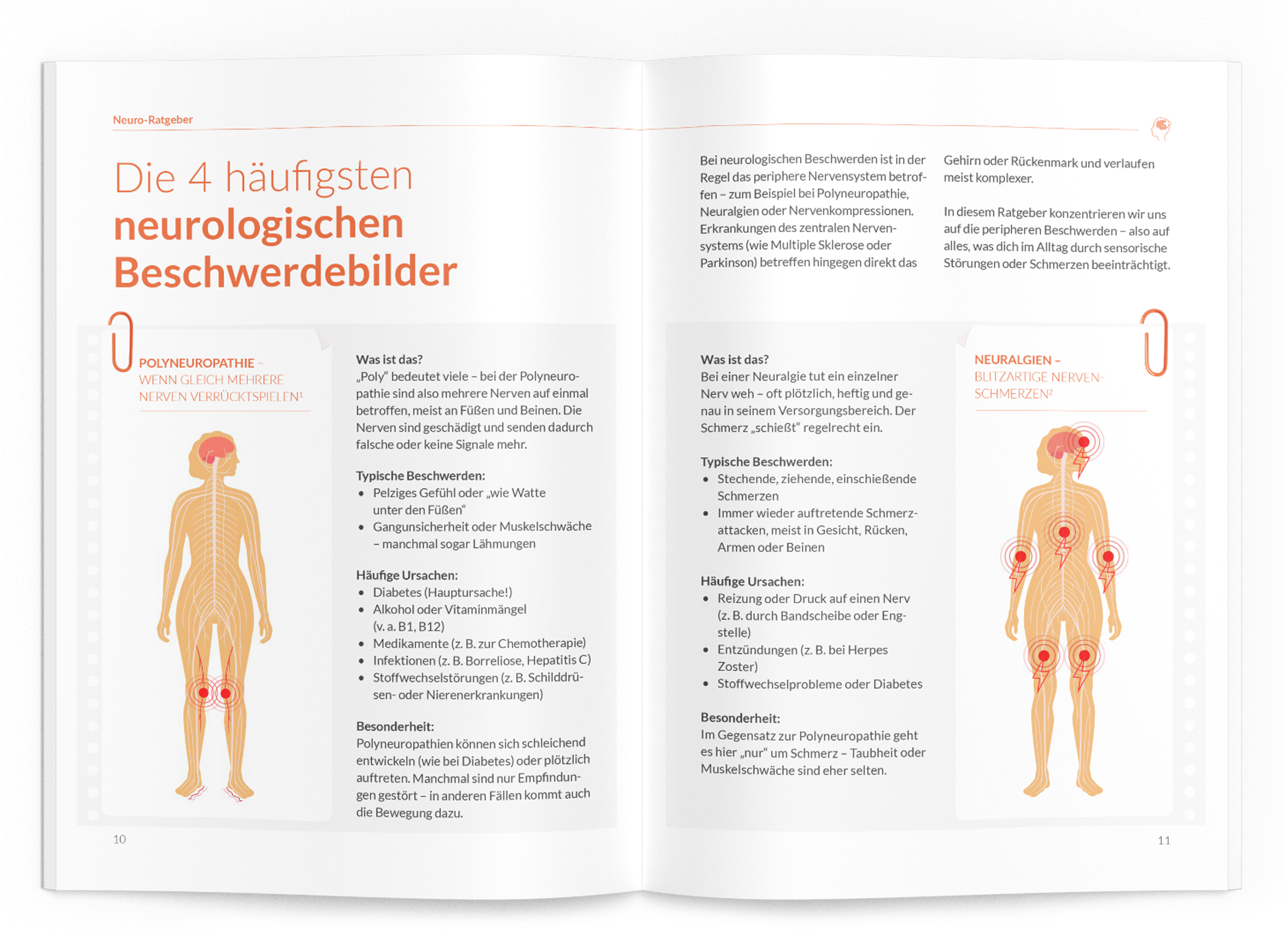Neuro-Ratgeber - VitaMoment Produkt