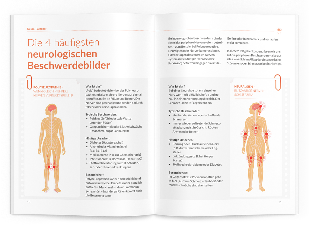 Neuro-Ratgeber - VitaMoment Produkt
