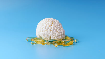 Omega-3-Erfahrung: Omega-3-Kapseln und ein Modell eines Gehirns