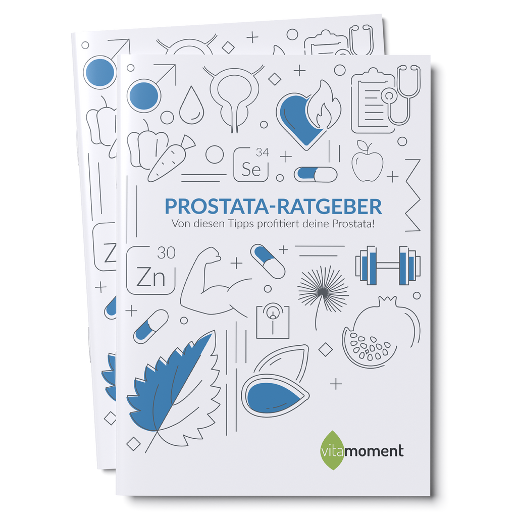 Prostata-Ratgeber