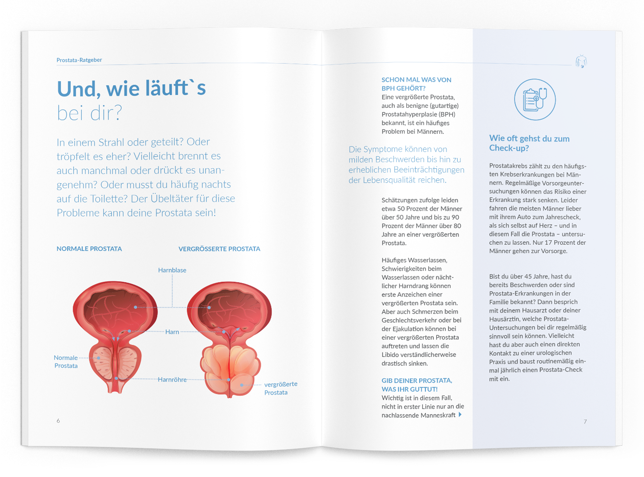 Prostata-Ratgeber - VitaMoment Produkt