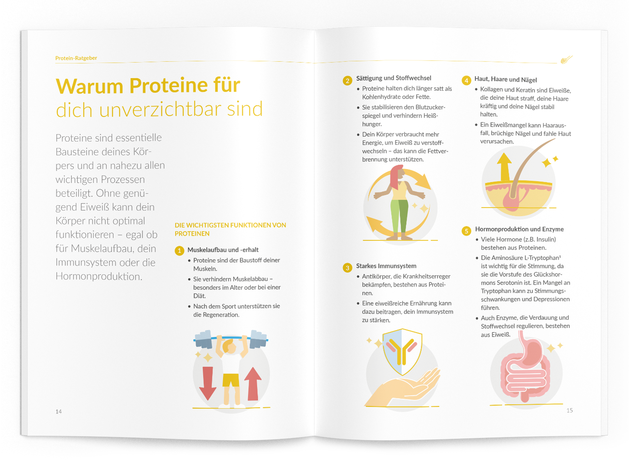 Protein-Ratgeber - VitaMoment Produkt