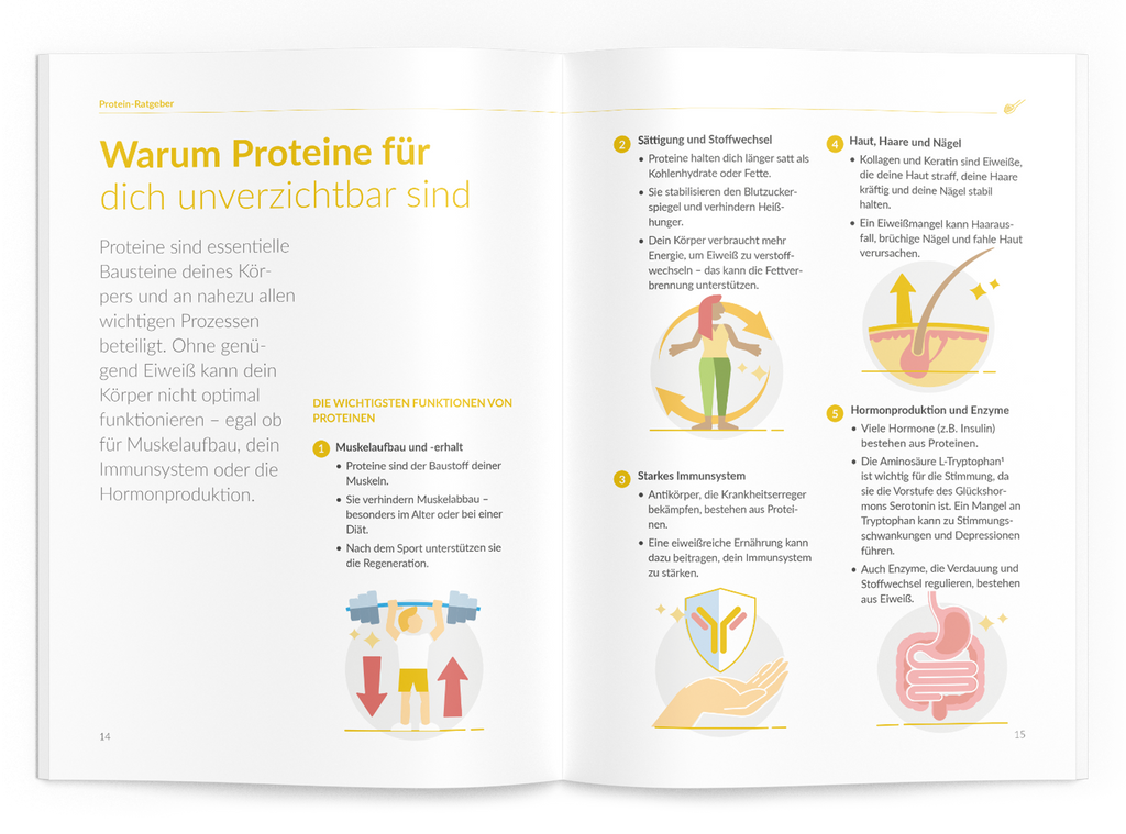 Protein-Ratgeber - VitaMoment Produkt