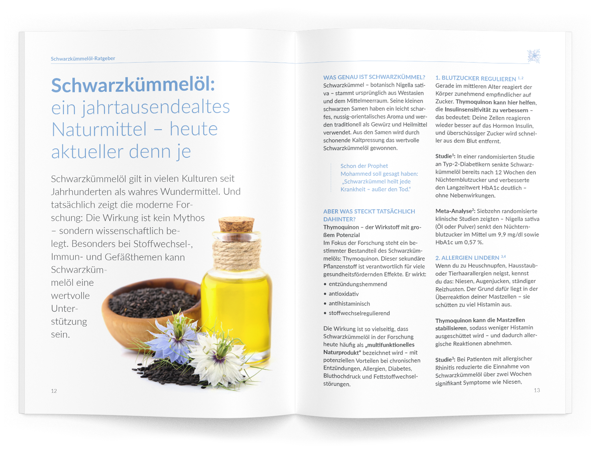 Schwarzkümmelöl-Ratgeber - VitaMoment Produkt