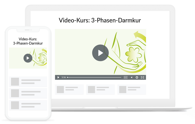 Video-Kurs: 3-Phasen-Darmkur