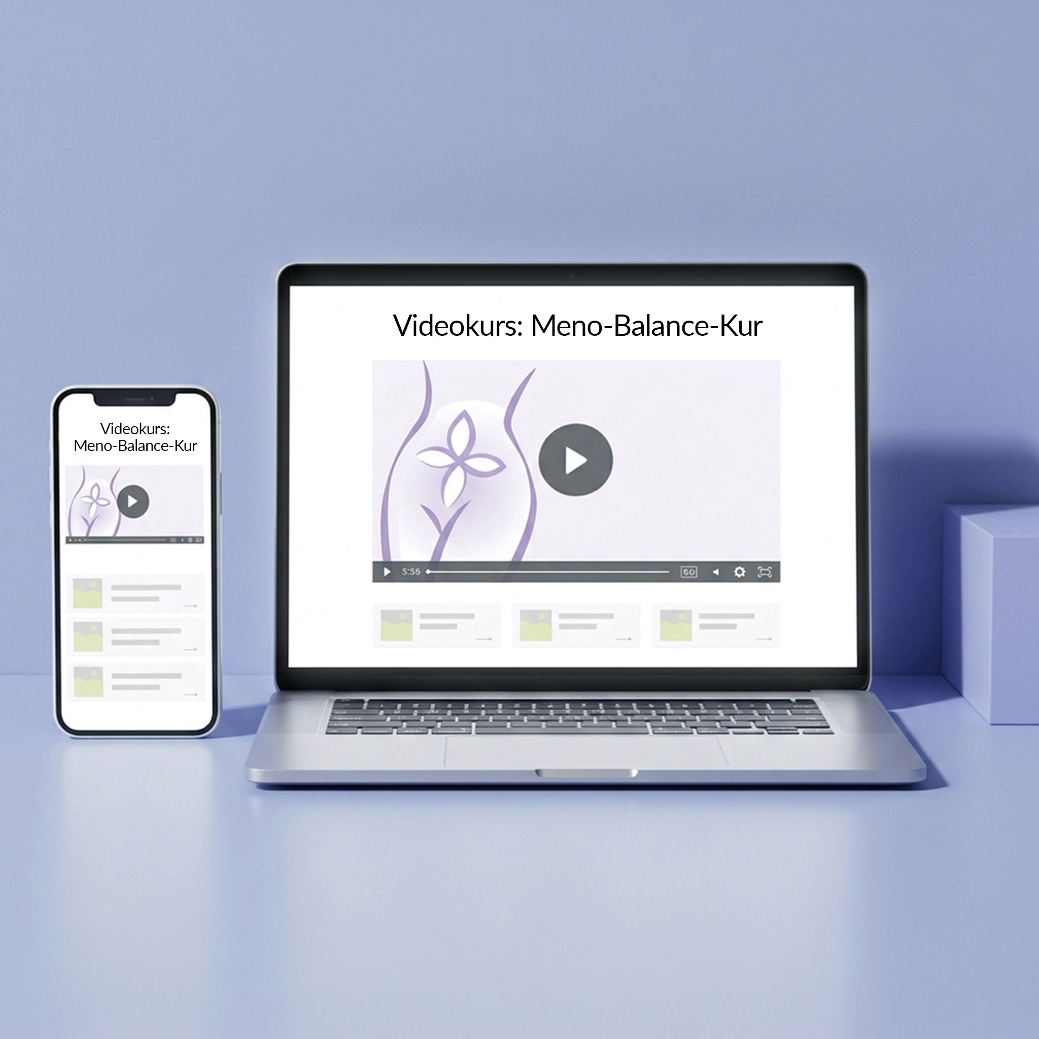 Videokurs: Meno-Balance-Kur - VitaMoment Produkt