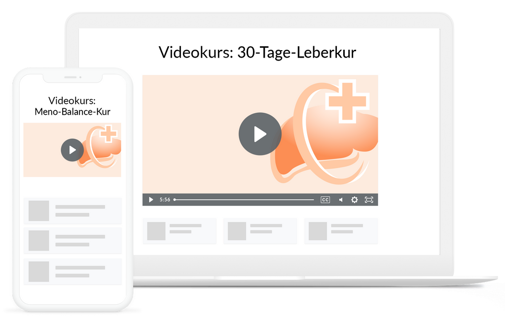 Videokurs: 30-Tage-Leberkur - VitaMoment Produkt