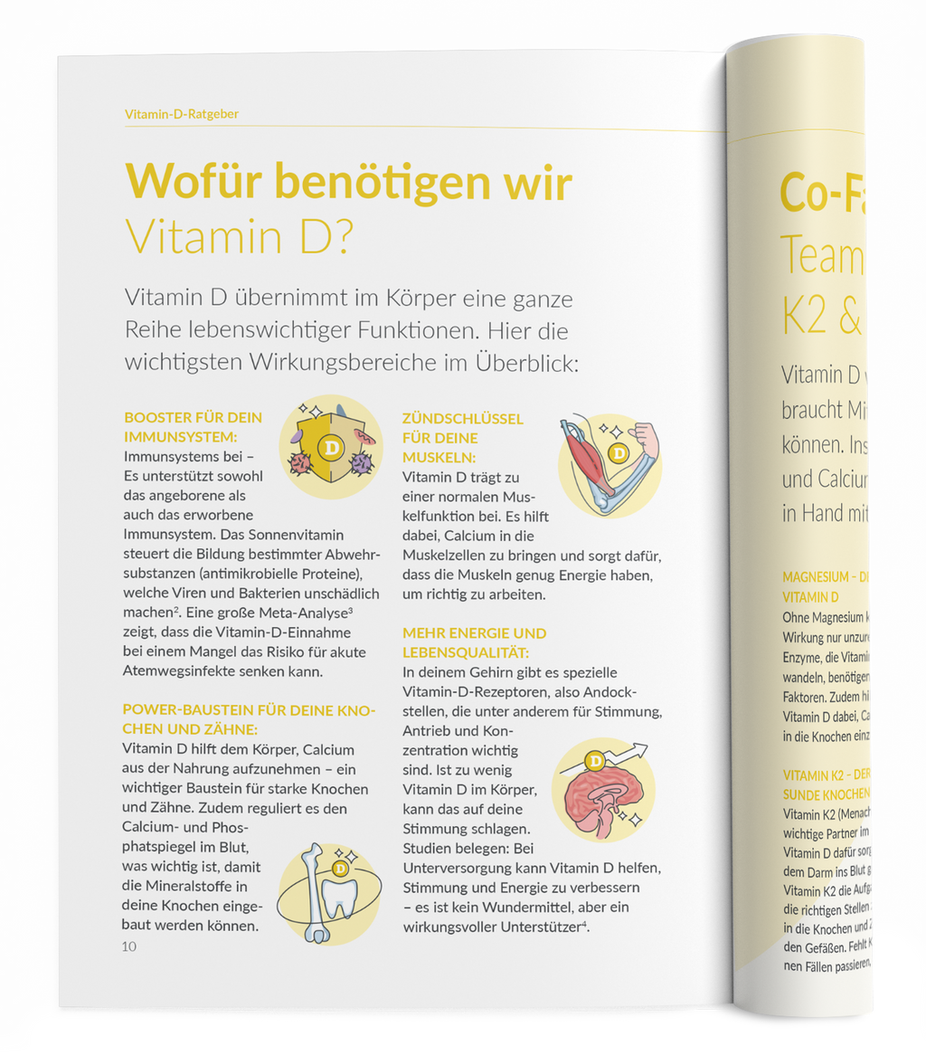 Vitamin D-Ratgeber - VitaMoment Produkt