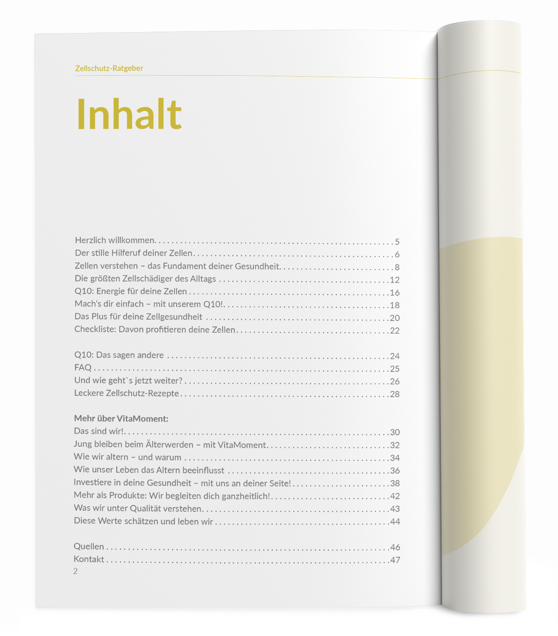 Zellschutz-Ratgeber (Q10) - VitaMoment Produkt