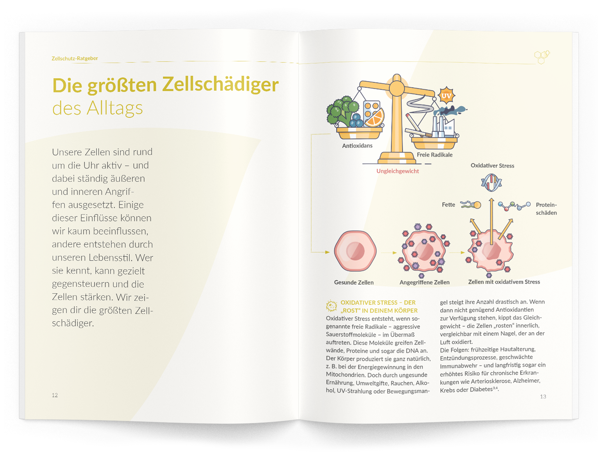 Zellschutz-Ratgeber (Q10) - VitaMoment Produkt