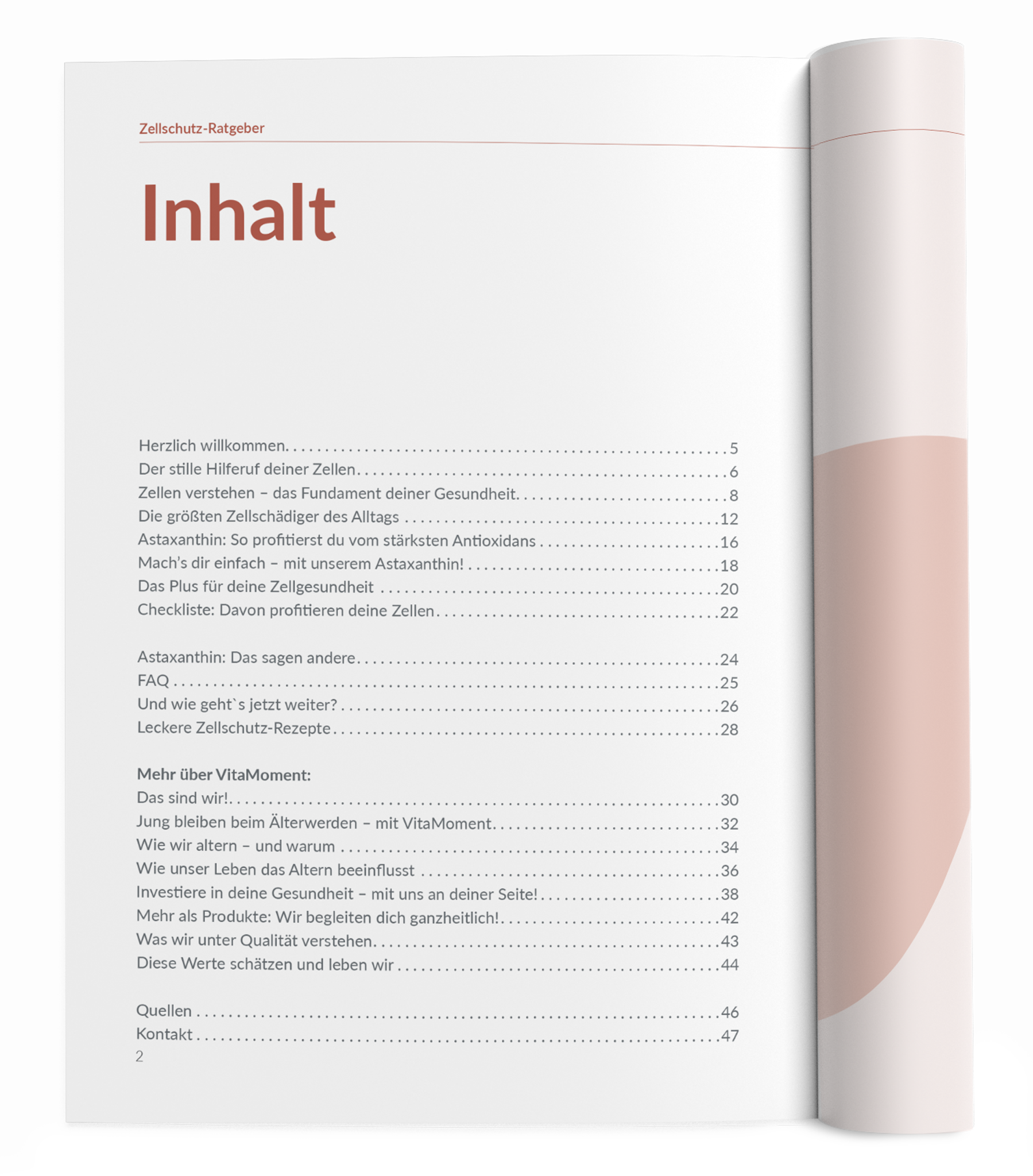 Zellschutz-Ratgeber - 1:Astaxanthin - VitaMoment Produkt