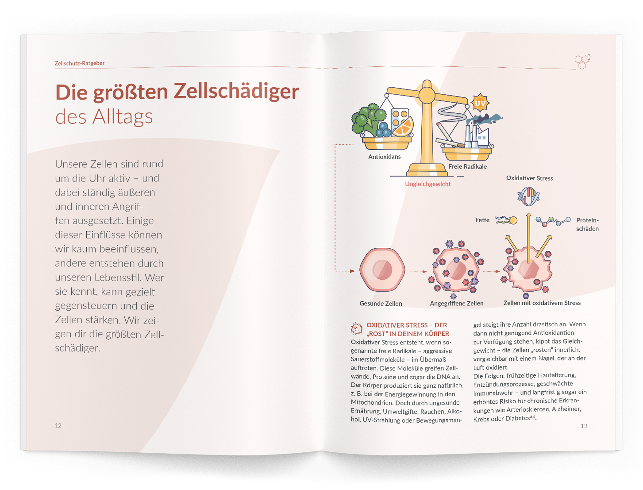 Zellschutz-Ratgeber - 1:Astaxanthin - VitaMoment Produkt