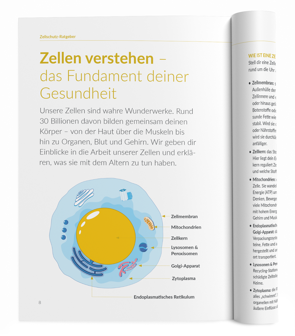 Zellschutz-Ratgeber - VitaMoment Produkt