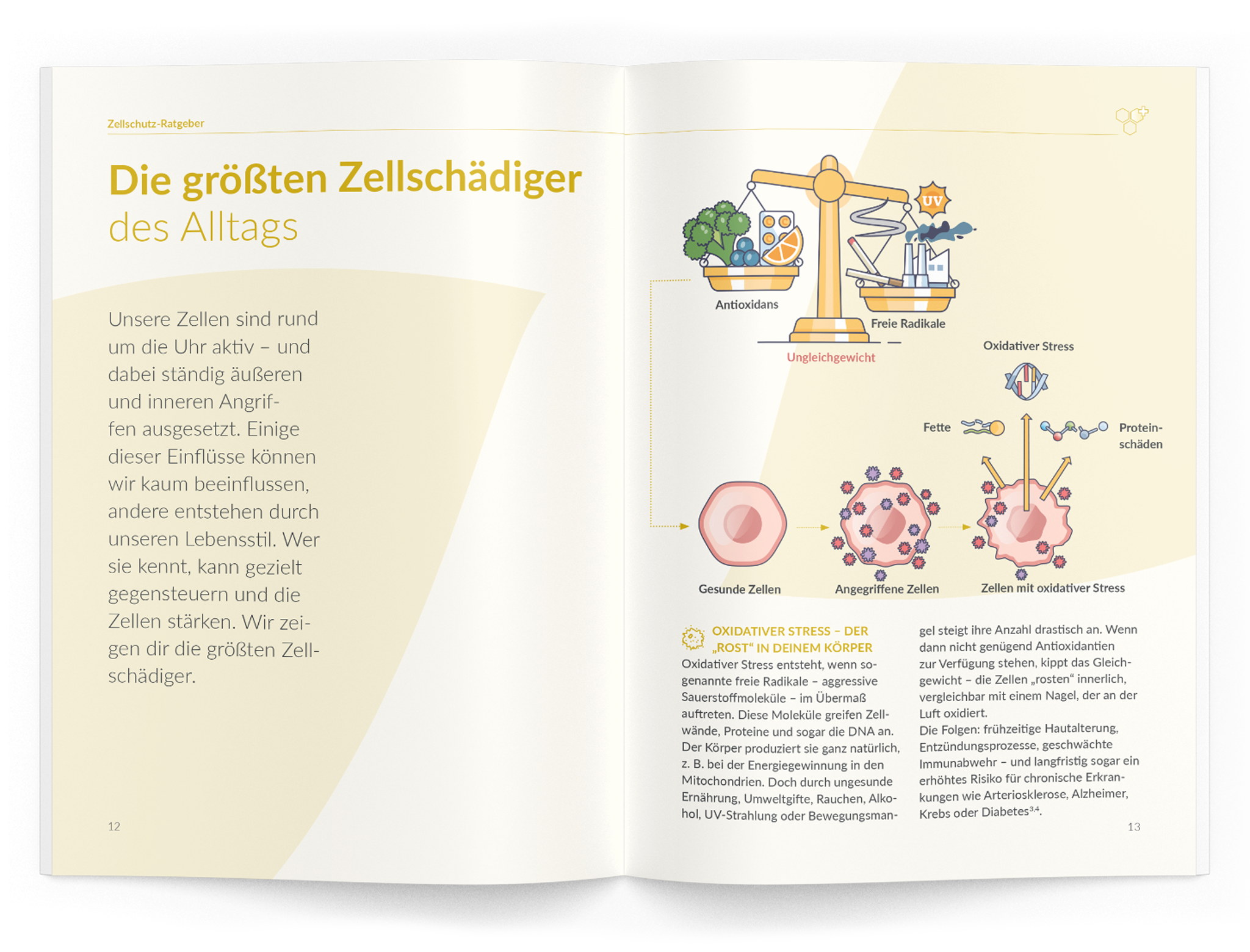 Zellschutz-Ratgeber - VitaMoment Produkt