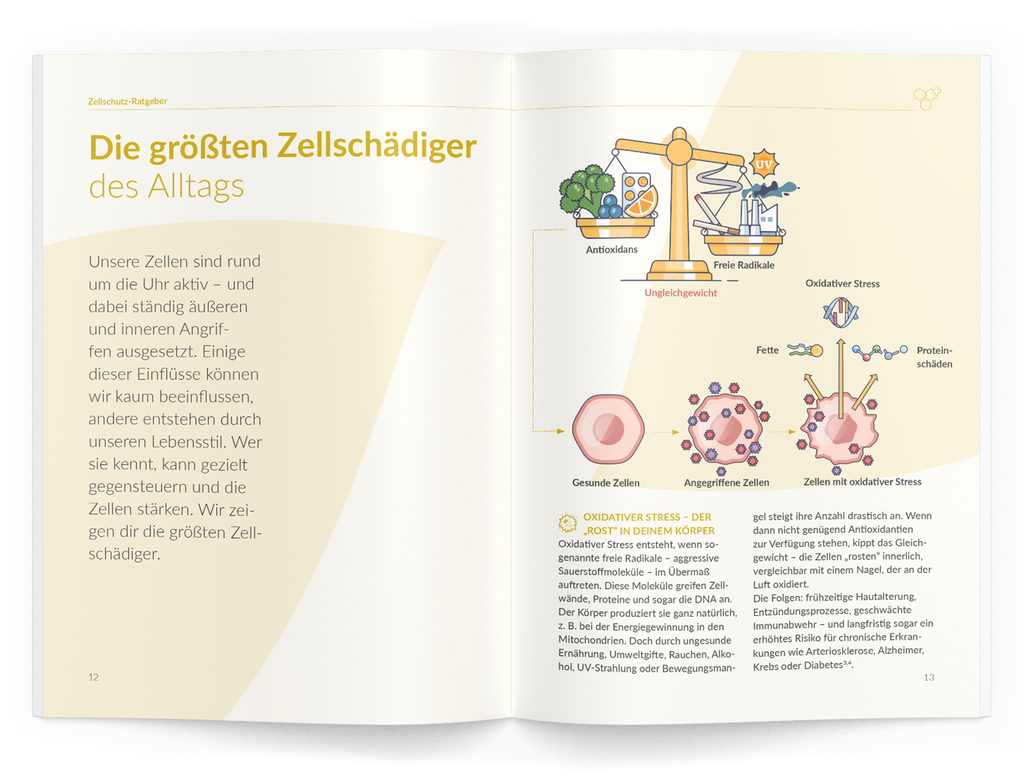 Zellschutz-Ratgeber - VitaMoment Produkt
