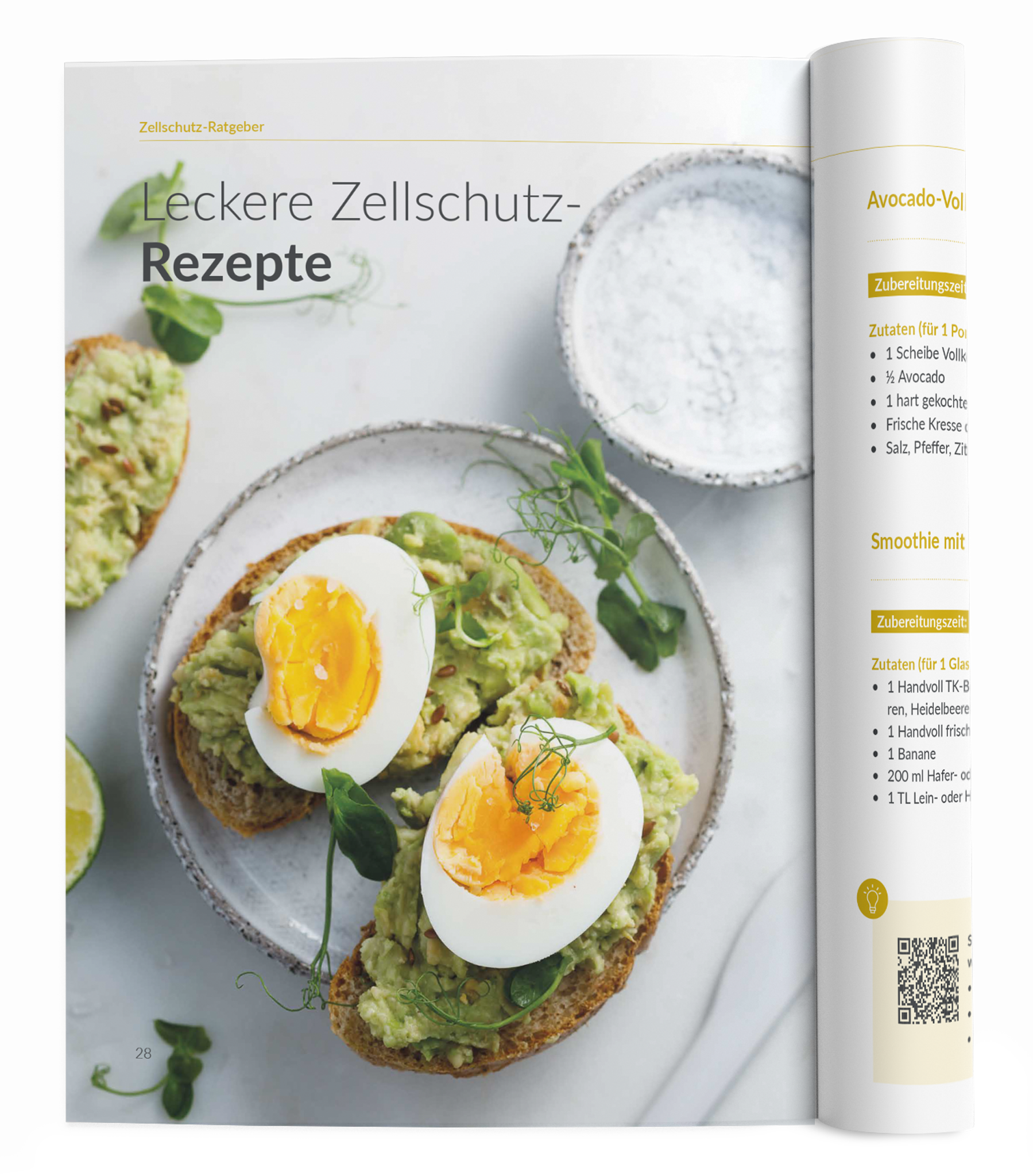 Zellschutz-Ratgeber - VitaMoment Produkt