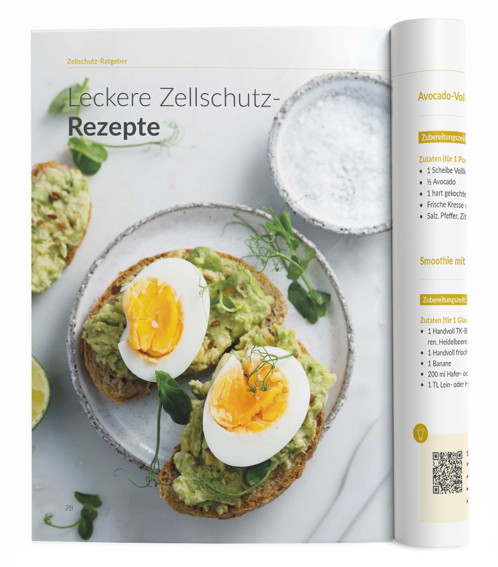 Zellschutz-Ratgeber - VitaMoment Produkt